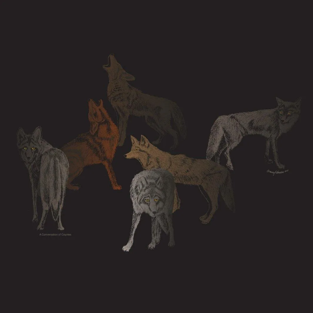 Conversation of Coyotes for Men